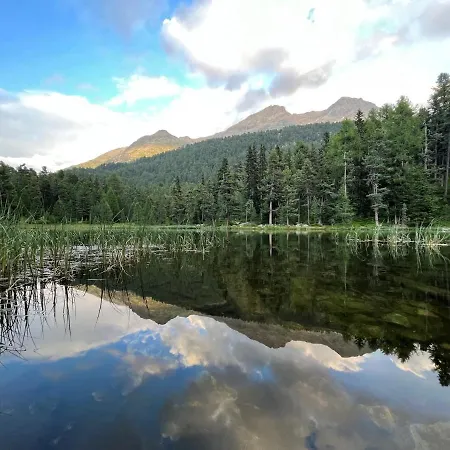 Apartment Chesa Munteratsch 1-zimmerwohnung 310 Typ B