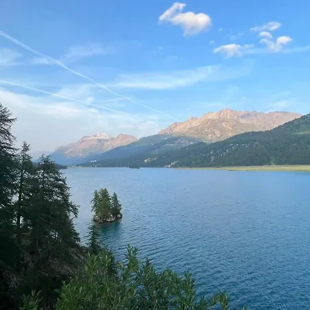 Apartment Chesa Munteratsch 1-zimmerwohnung 310 Typ B Silvaplana