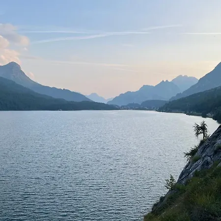 Apartment Chesa Munteratsch 1-zimmerwohnung 310 Typ B