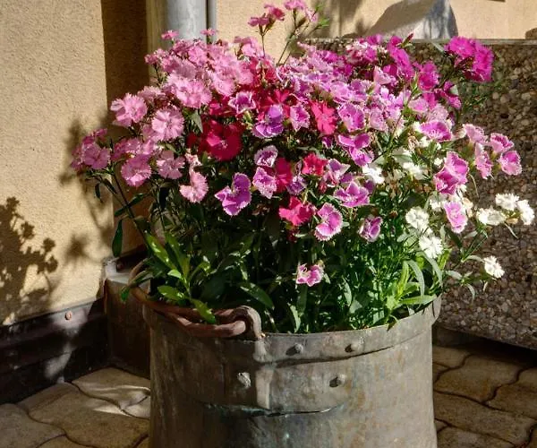 Apartman Chesa Munteratsch 1-zimmerwohnung 310 Typ B *