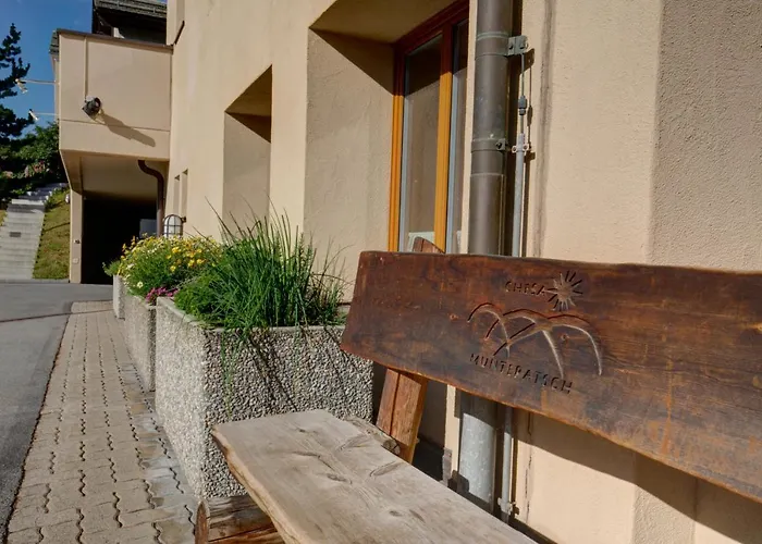 Chesa Munteratsch 1-zimmerwohnung 310 Typ B