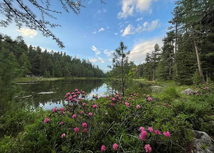 Apartman Chesa Munteratsch 1-zimmerwohnung 310 Typ B *