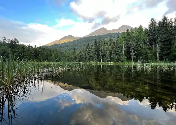 Apartman Chesa Munteratsch 1-zimmerwohnung 310 Typ B