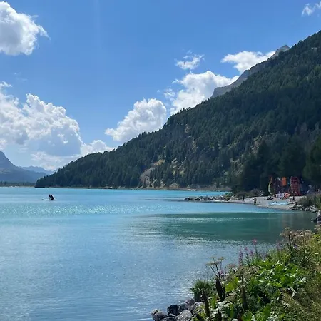 Chesa Munteratsch 1-zimmerwohnung 310 Typ B