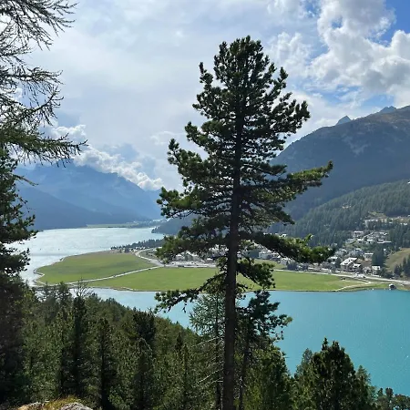 Chesa Munteratsch 1-zimmerwohnung 310 Typ B * סילבפלנה