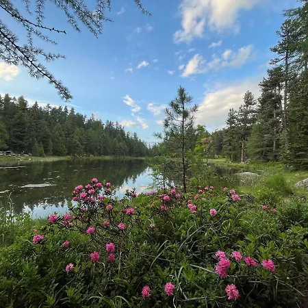 דירה Chesa Munteratsch 1-zimmerwohnung 310 Typ B *