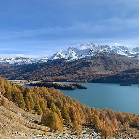 דירה Chesa Munteratsch 1-zimmerwohnung 310 Typ B סילבפלנה