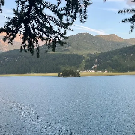 Chesa Munteratsch 1-zimmerwohnung 310 Typ B דירה *