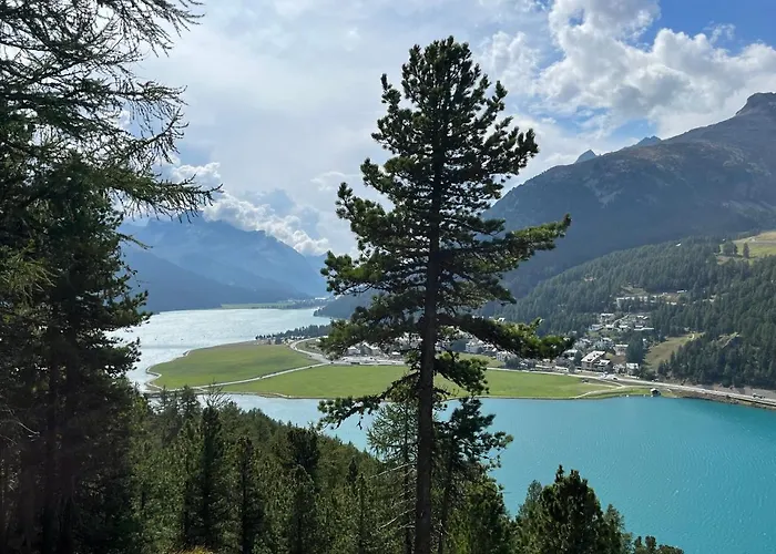 Chesa Munteratsch 1-zimmerwohnung 310 Typ B * Silvaplana